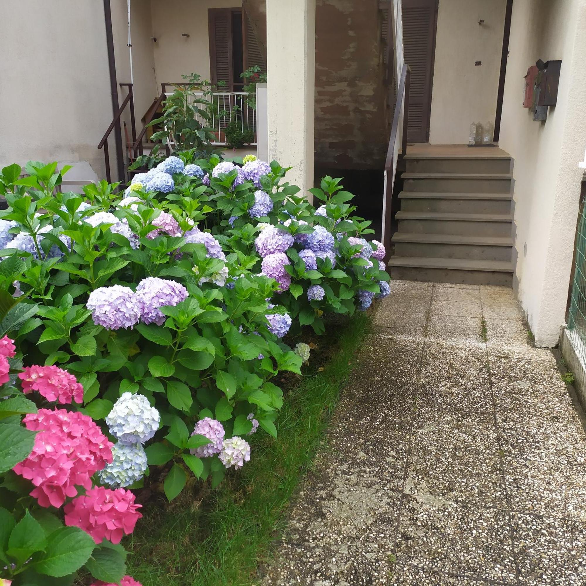 Apartment Santa Maria Bolsena Exterior foto